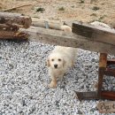 임곡초교 이미지