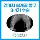 도촌 동물병원 이미지