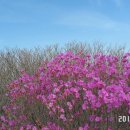 제일장수촌 이미지