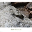 山川에서 이미지