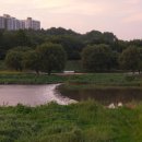 해병 제1상륙사단 | 노을 산책, 해병제1상륙사단 전공선양비 공원에서 20260715