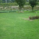 진안파크 이미지