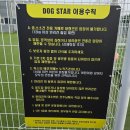 독스타 | [화성애견카페] 독스타 애견카페