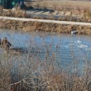 보문선착장 이미지