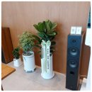 일동중앙약국 | 수원시 개업화분 │ 광교·권선동 병원 개업식 꽃분배 후기