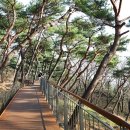 시민의숲산책로1-21 이미지