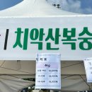 은상농장 | 2025 복숭아 원정대 : 치악산 복숭아 축제에서 뭘 샀나 간단 후기