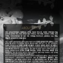 야야(YAYA) 이미지