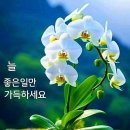 &#34;산나물의 왕 &#39;취나물&#39;을 찾아서&#34;＜2024.04.25(목)＞ 이미지