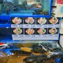 수산 | 노량진수산시장 영호남수산 후기 정직하고 믿음 가는 회 맛집