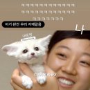 한인조합상가 | [ 60일 휴학 여행 ✈️ ] Day 57 ~ 60 / 터키 🇹🇷 이스탄불
