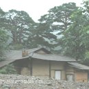 용소골민박 이미지