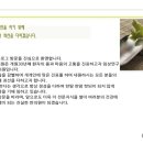 정정열한의원 네이버블로그