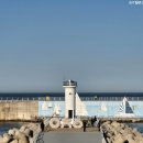 경주 읍천항 파도소리길 걸으며 양남 주상절리 보기