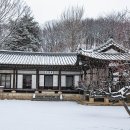 한국민속촌 Daum카페