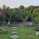 소남못펜션 이미지