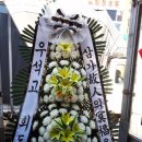 임실꽃화원 네이버블로그