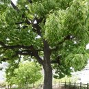 원교 어린이공원 이미지