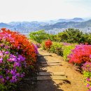 백양산 애진봉 이미지