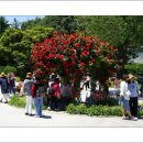 장미원입구 이미지