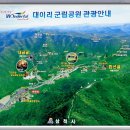 대이리군립공원 이미지