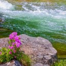 계곡이야기 이미지