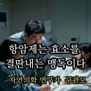 항암제는 효소를 결딴내는 맹독이다 이미지