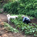 덕현목장 이미지