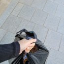 평창 대관령 맛집 추천 [해와비, 루앤루베이커리, 진태원] 내돈내산 후기