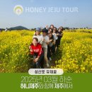 제주다정여행사 이미지