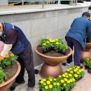 인도변 화단 이미지