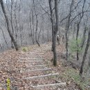 보성강1 이미지