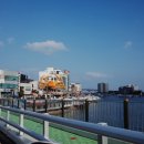 만찬요리궁 | [영덕 대게 맛집] 강구항 동광어시장 내돈내산 솔직 후기! 가성비 최고 러시아산 대게와 게딱지 볶음밥...