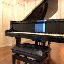 슈필렌 아트홀 이미지