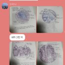 새롭게 등장한 일상블로거에요^^