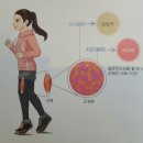 슬로우페이스