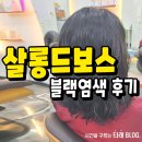 살롱드보스