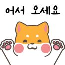 도그파파 이미지