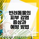 예동물병원 이미지