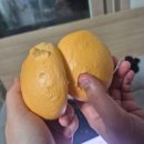 조양로151번길 네이버블로그