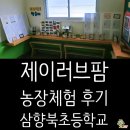 삼향북초등학교 이미지