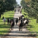 초지축산 이미지