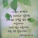 디딤돌교회
