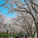 성곽공영주차장 화장실 이미지