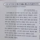보석사   은행나무 이미지