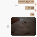 이덕기한의원 이미지