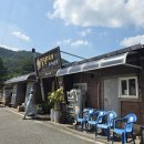 문경개미취 포토트레킹/도영달대장님 이미지