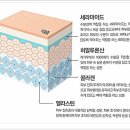 이코웨이브에스테틱 - 제천시 신죽하로 39 | 이코웨이브에스테틱