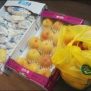 대통청과 | 자몽청 만드는방법 / 레몬청 만들기 :: 남양주 과일 대통청과