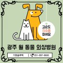 윌동물외상센터 이미지